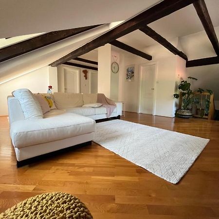Riverside Villa Avo - Apartment Sara Spodnja Idrija المظهر الخارجي الصورة