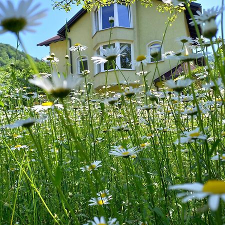 Riverside Villa Avo - Apartment Sara Spodnja Idrija الغرفة الصورة
