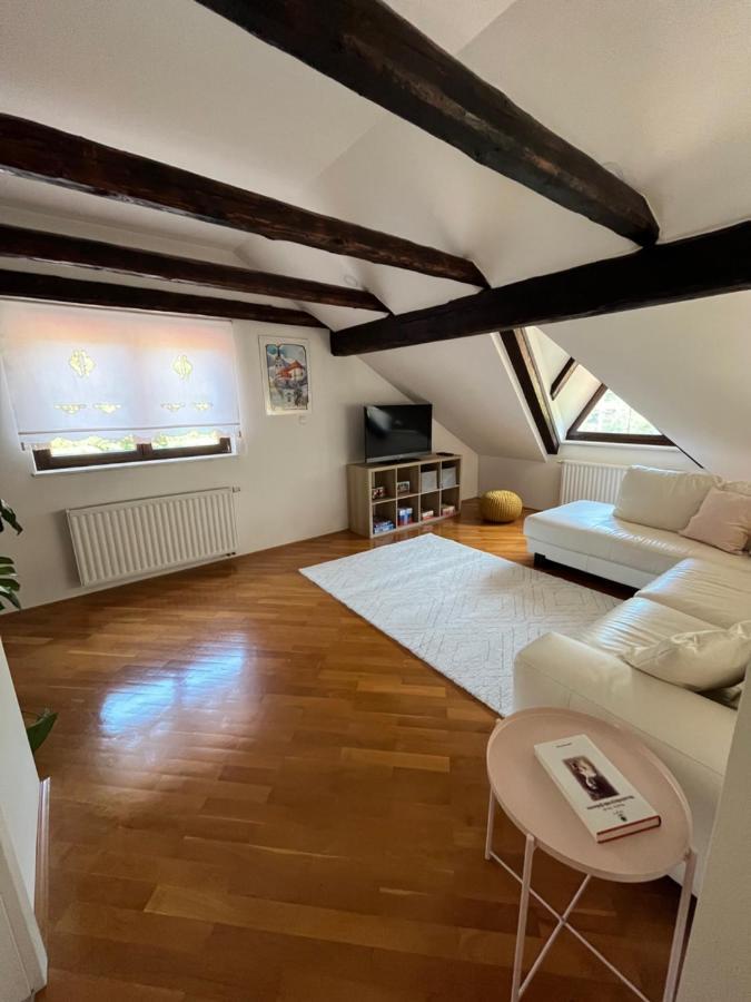 Riverside Villa Avo - Apartment Sara Spodnja Idrija المظهر الخارجي الصورة