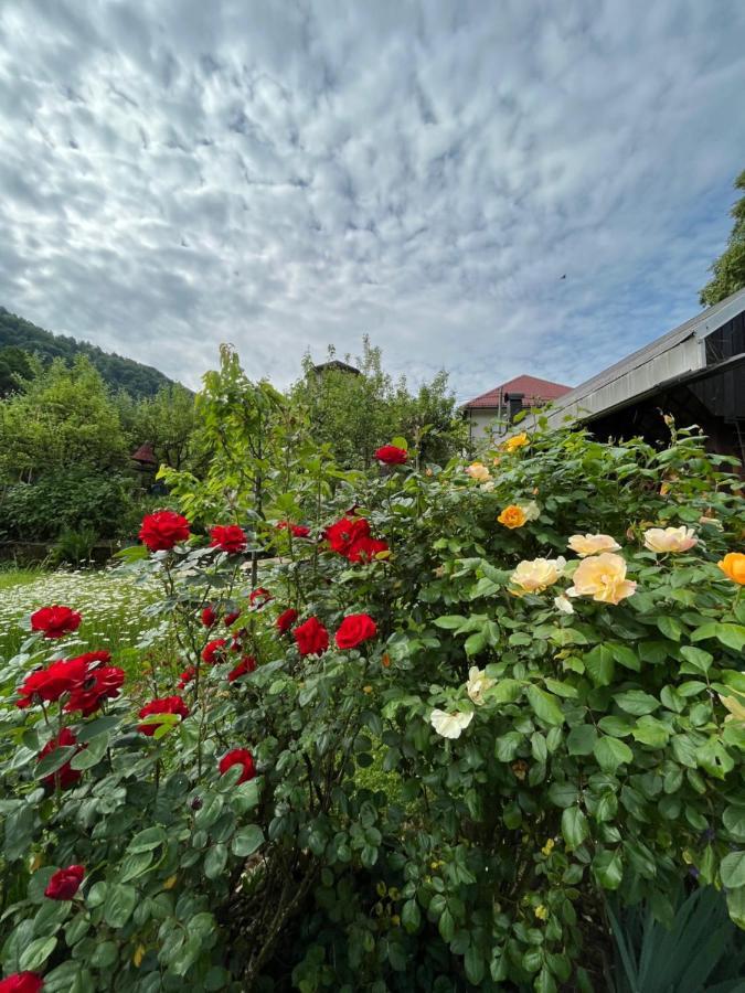 Riverside Villa Avo - Apartment Sara Spodnja Idrija المظهر الخارجي الصورة